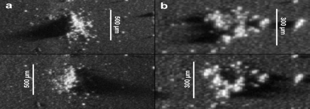 premiers-resultats-de-l-instrument-cosima-a-bord-de-la-mission-rosetta