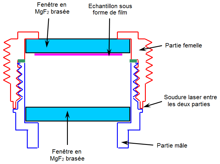 cellules4