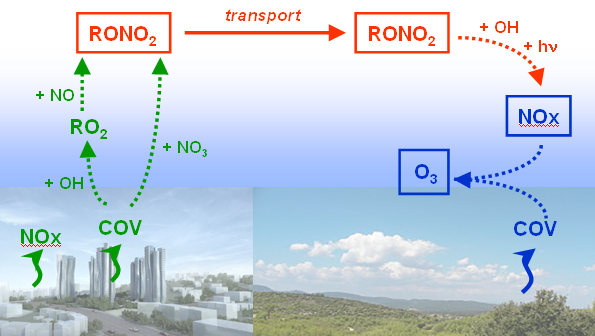 Rôle des nitrates organiques dans le transport longue distance de l’azote réactif